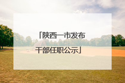 陕西一市发布干部任职公示