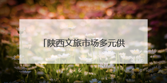 陕西文旅市场多元供给带来旅游新体验