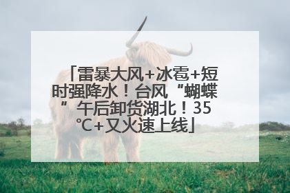 雷暴大风+冰雹+短时强降水！台风“蝴蝶”午后卸货湖北！35℃+又火速上线