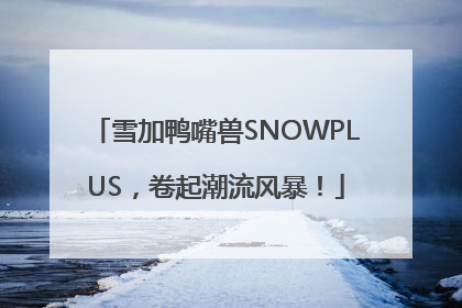 雪加鸭嘴兽SNOWPLUS，卷起潮流风暴！