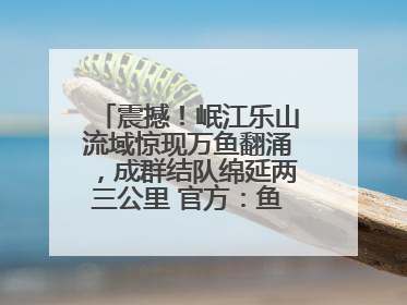 震撼！岷江乐山流域惊现万鱼翻涌，成群结队绵延两三公里 官方：鱼群在此产卵