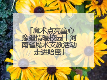 魔术点亮童心 豫疆情暖校园丨河南省魔术支教活动走进哈密