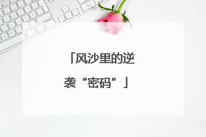 风沙里的逆袭“密码”