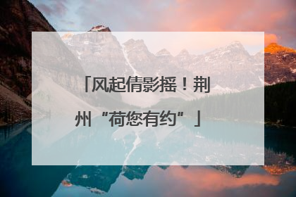 风起倩影摇！荆州“荷您有约”