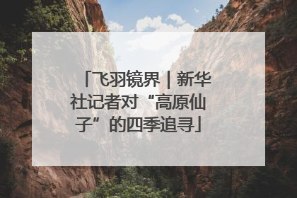 飞羽镜界｜新华社记者对“高原仙子”的四季追寻