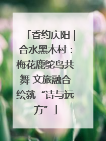 香约庆阳｜合水黑木村：梅花鹿鸵鸟共舞 文旅融合绘就“诗与远方”