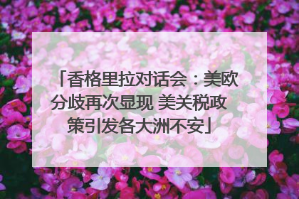 香格里拉对话会：美欧分歧再次显现 美关税政策引发各大洲不安