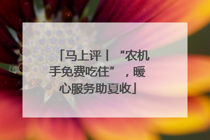 马上评丨“农机手免费吃住”，暖心服务助夏收