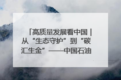 高质量发展看中国｜从“生态守护”到“碳汇生金”——中国石油大庆油田绿色蝶变
