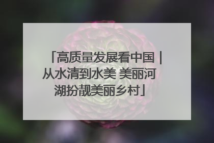 高质量发展看中国｜从水清到水美 美丽河湖扮靓美丽乡村
