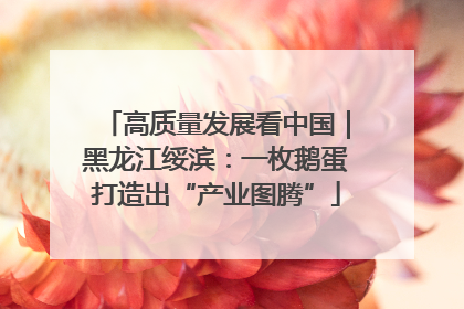 高质量发展看中国｜黑龙江绥滨：一枚鹅蛋打造出“产业图腾”