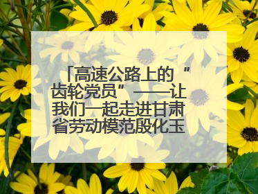 高速公路上的“齿轮党员”——让我们一起走进甘肃省劳动模范殷化玉的故事