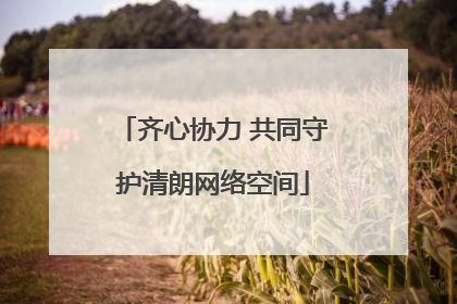 齐心协力 共同守护清朗网络空间