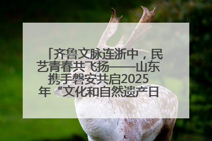齐鲁文脉连浙中，民艺青春共飞扬——山东携手磐安共启2025年“文化和自然遗产日”系列活动