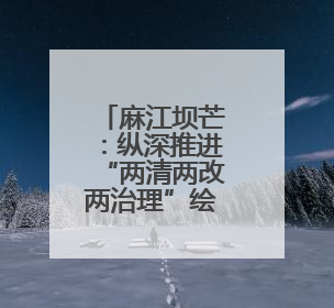 麻江坝芒：纵深推进“两清两改两治理”绘就乡村振兴新图景