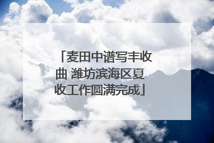 麦田中谱写丰收曲 潍坊滨海区夏收工作圆满完成