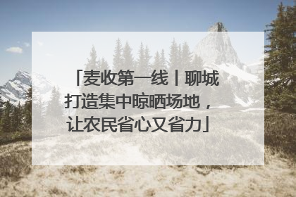麦收第一线丨聊城打造集中晾晒场地，让农民省心又省力