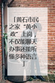 黄石市民之家“黄小政”上岗，不仅能聊天办事还能听懂多种语言
