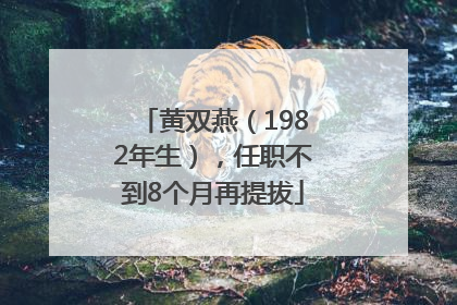 黄双燕（1982年生），任职不到8个月再提拔
