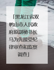 黑龙江省双鸭山市人民政府原副秘书长马为先接受纪律审查和监察调查