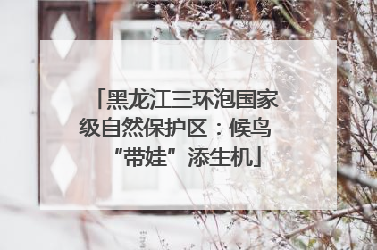 黑龙江三环泡国家级自然保护区：候鸟“带娃”添生机