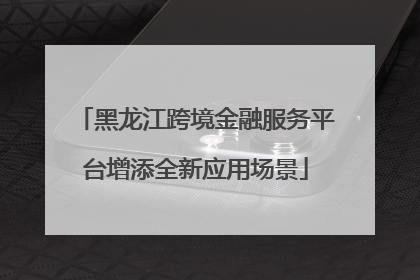 黑龙江跨境金融服务平台增添全新应用场景