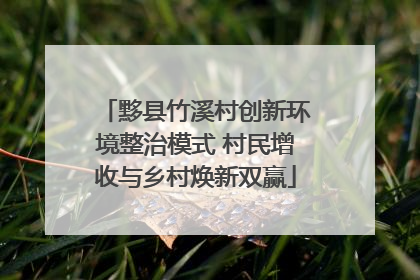 黟县竹溪村创新环境整治模式 村民增收与乡村焕新双赢