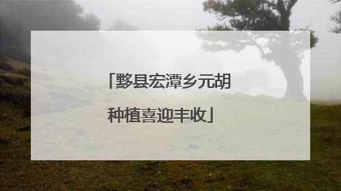 黟县宏潭乡元胡种植喜迎丰收