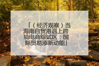 （经济观察）当海南自贸港遇上跨境电商综试区：国际贸易添新动能