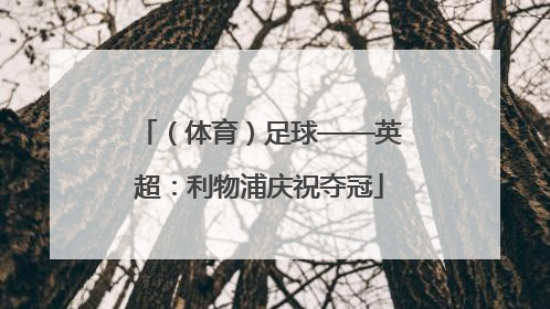 （体育）足球——英超：利物浦庆祝夺冠