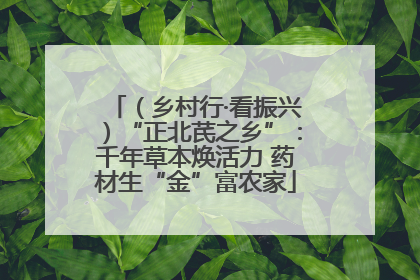 （乡村行·看振兴）“正北芪之乡”：千年草本焕活力 药材生“金”富农家