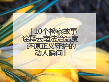 10个检察故事诠释云南法治温度 还原正义守护的动人瞬间