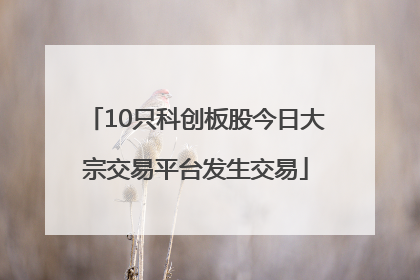 10只科创板股今日大宗交易平台发生交易