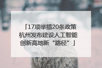 17项举措20条政策 杭州发布建设人工智能创新高地新“路径”