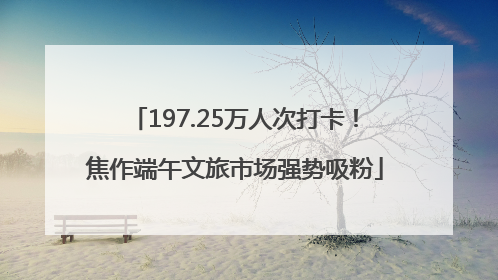 197.25万人次打卡！焦作端午文旅市场强势吸粉