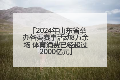 2024年山东省举办各类赛事活动8万余场 体育消费已经超过2000亿元