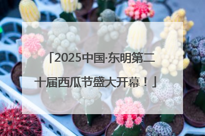 2025中国·东明第二十届西瓜节盛大开幕！