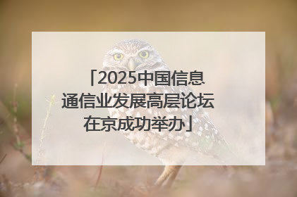 2025中国信息通信业发展高层论坛在京成功举办