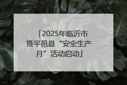 2025年临沂市暨平邑县“安全生产月”活动启动