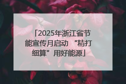 2025年浙江省节能宣传月启动 “精打细算”用好能源