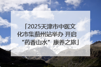 2025天津市中医文化市集蓟州站举办 开启“药香山水”康养之旅