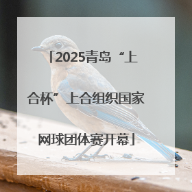 2025青岛“上合杯”上合组织国家网球团体赛开幕