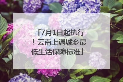 7月1日起执行！云南上调城乡最低生活保障标准