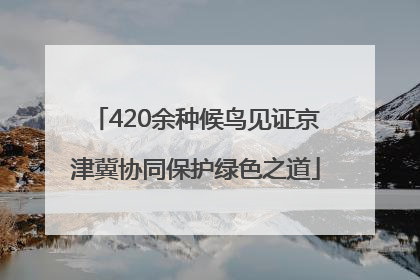 420余种候鸟见证京津冀协同保护绿色之道