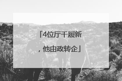 4位厅干履新，他由政转企