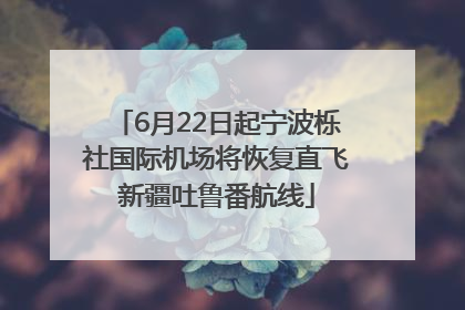 6月22日起宁波栎社国际机场将恢复直飞新疆吐鲁番航线