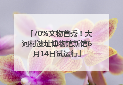 70%文物首秀！大河村遗址博物馆新馆6月14日试运行