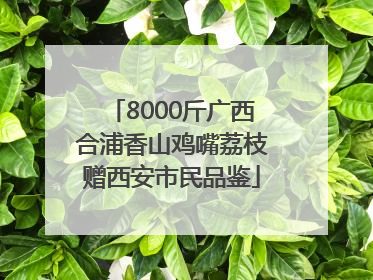 8000斤广西合浦香山鸡嘴荔枝赠西安市民品鉴
