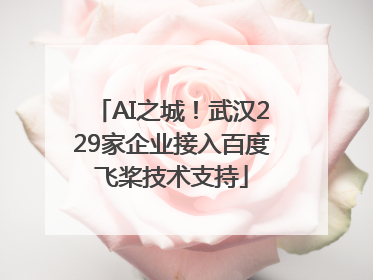 AI之城！武汉229家企业接入百度飞桨技术支持