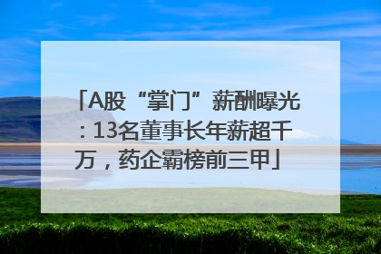 A股“掌门”薪酬曝光：13名董事长年薪超千万，药企霸榜前三甲